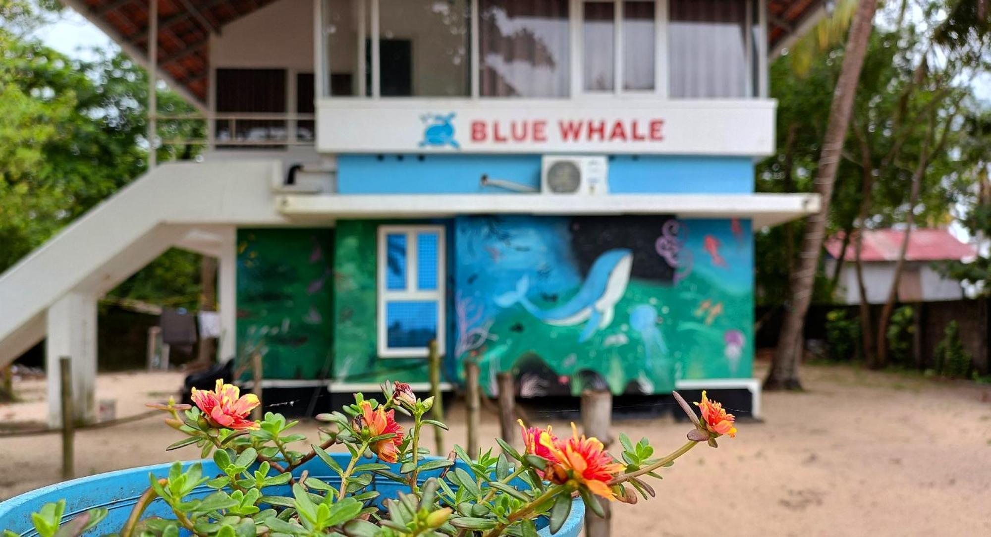 Marari Blue Whale Beach House Alappuzha Exterior foto